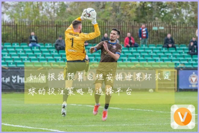 如何根据预算合理安排世界杯买足球的投注策略与选择平台