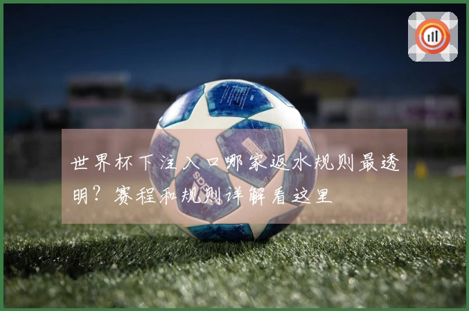 世界杯下注入口哪家返水规则最透明？赛程和规则详解看这里