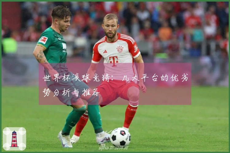 世界杯滚球竞猜：几大平台的优劣势分析与推荐