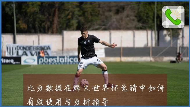 比分数据在烽火世界杯竞猜中如何有效使用与分析指导