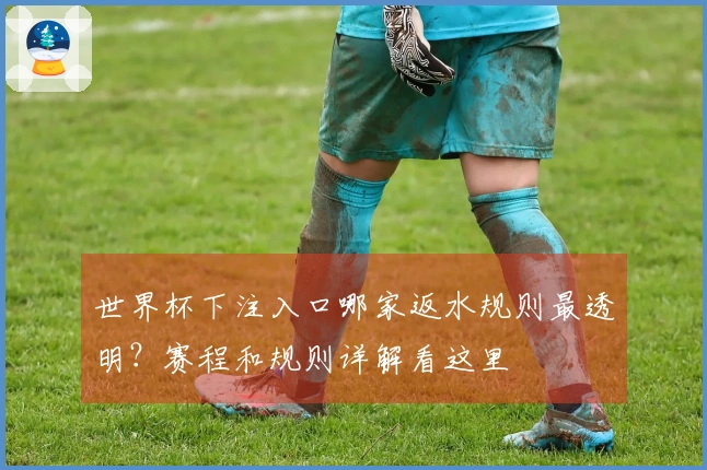 世界杯下注入口哪家返水规则最透明？赛程和规则详解看这里